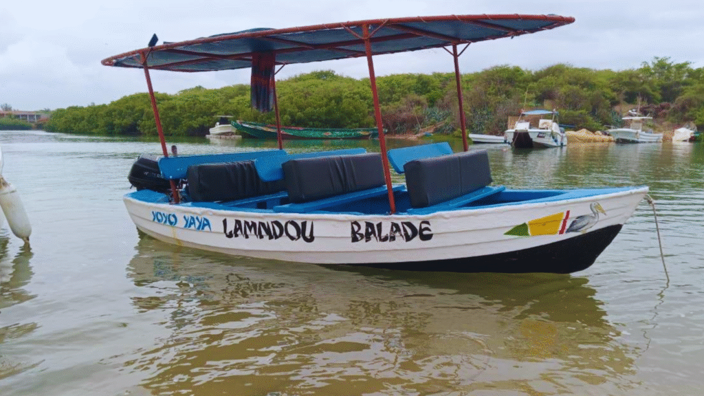 Faire une sortie en bateau au Sénégal