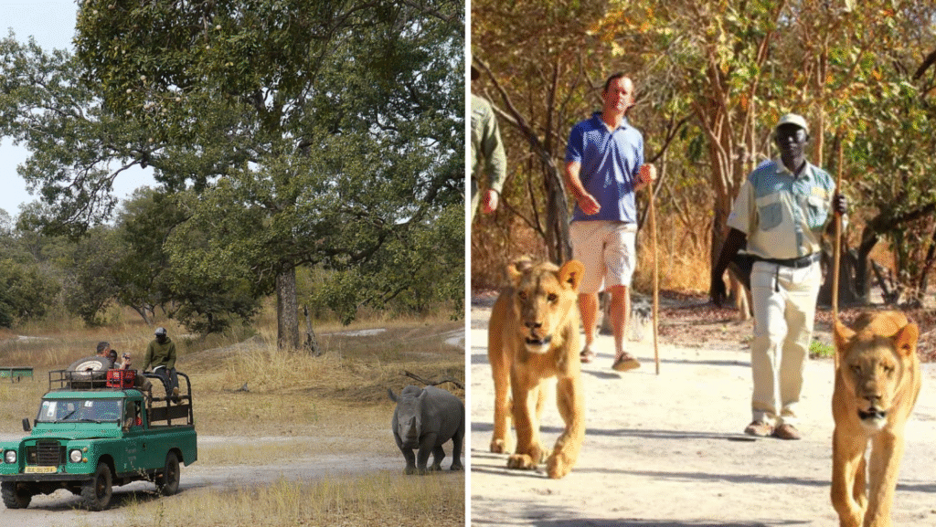 Faire un safari au Sénégal