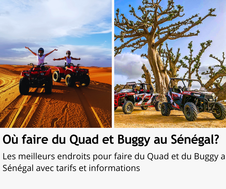 Guide pratique de l'île de Gorée