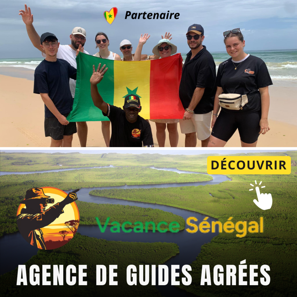 Prendre le TER Aéroport Dakar