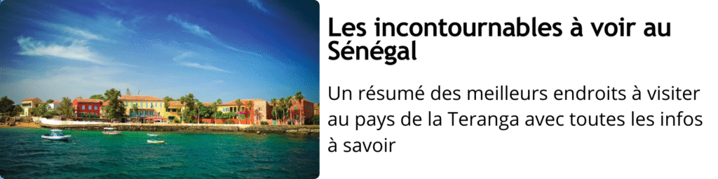 À la découverte des sites mégalithiques du Sénégal