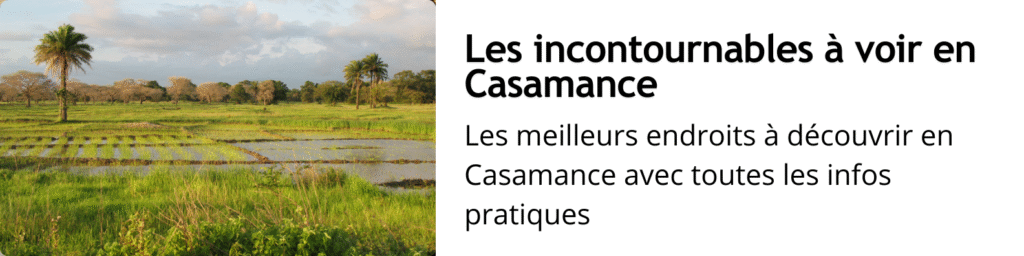 À la découverte des sites mégalithiques du Sénégal