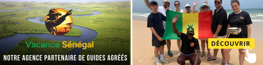 Voyager au Sénégal avec des enfants : guide pratique