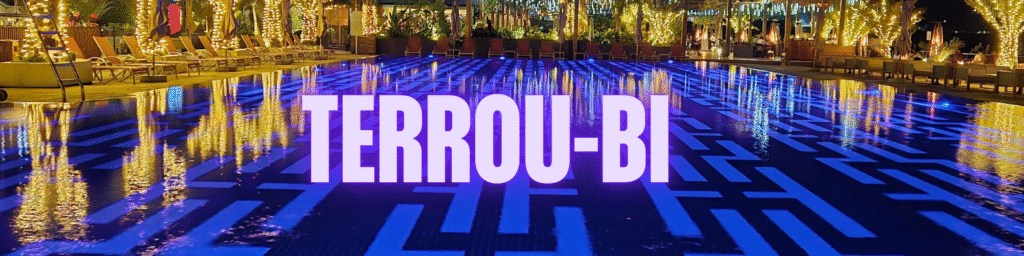 Saint-Sylvestre au Sénégal : Que faire le 31 décembre?