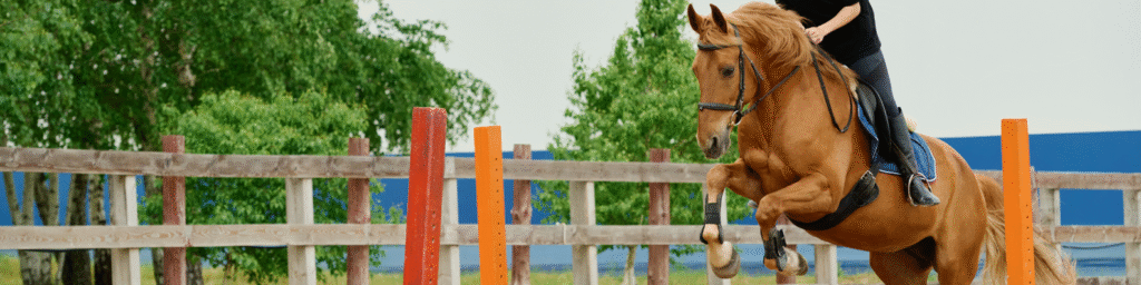 Programme des JOJ DAKAR 2026