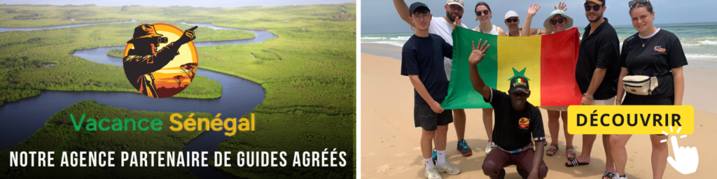 Bons plans Vols vers le Sénégal - Mars 2026