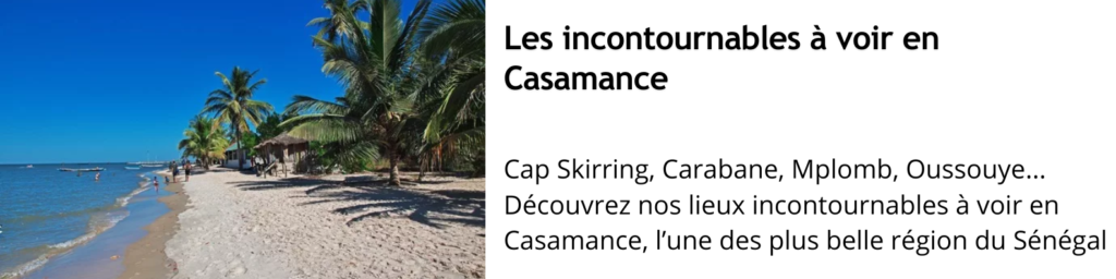 Vols Dakar Cap Skirring avec Transair