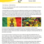 Newsletter – Février 2026