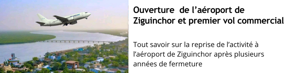 Palmera Hôtel Resort - Nouveau complexe à Pointe Sarène