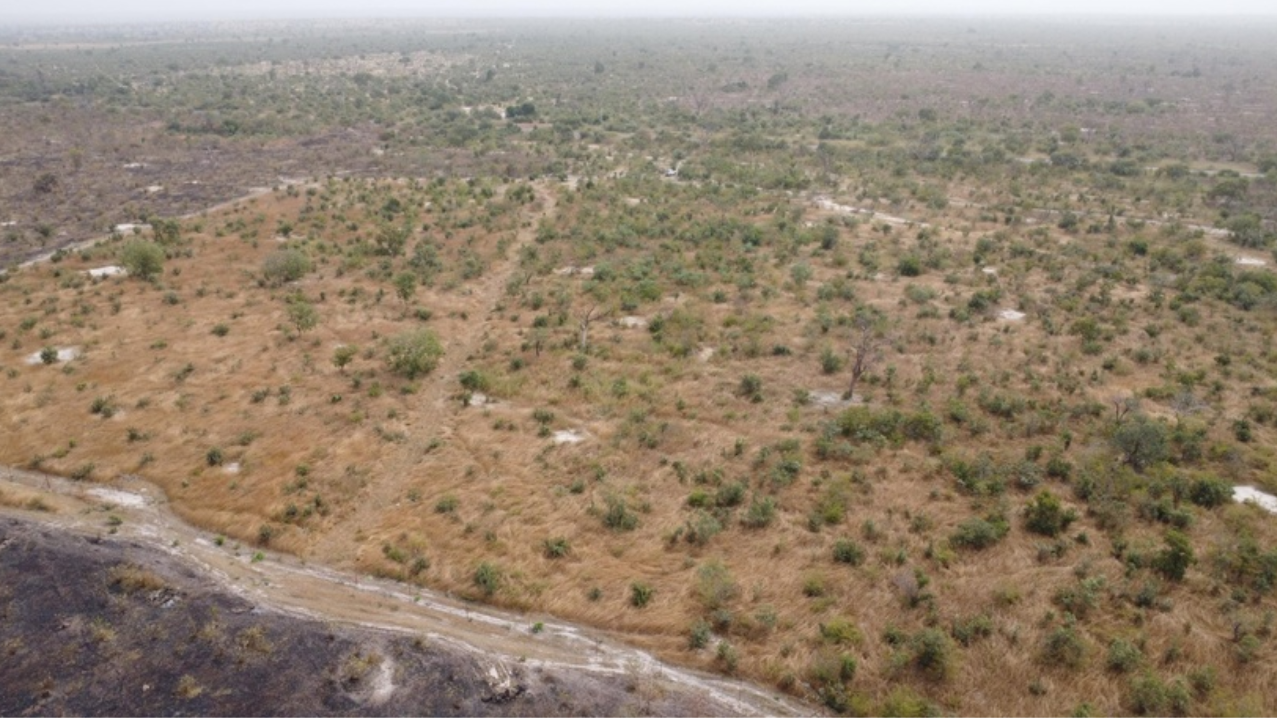 Un futur safari big five au Sénégal ?
