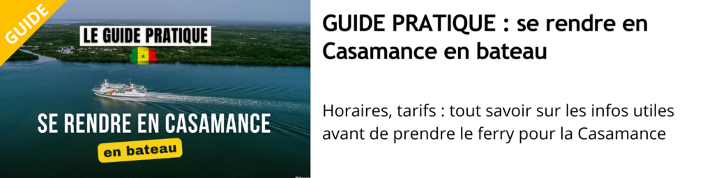 Nos guides pratiques pour le Sénégal